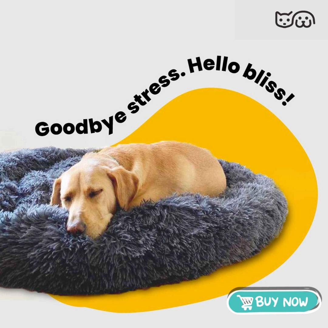 Cozy Comfort Bed – All-Season Comfort for Dogs & Cats