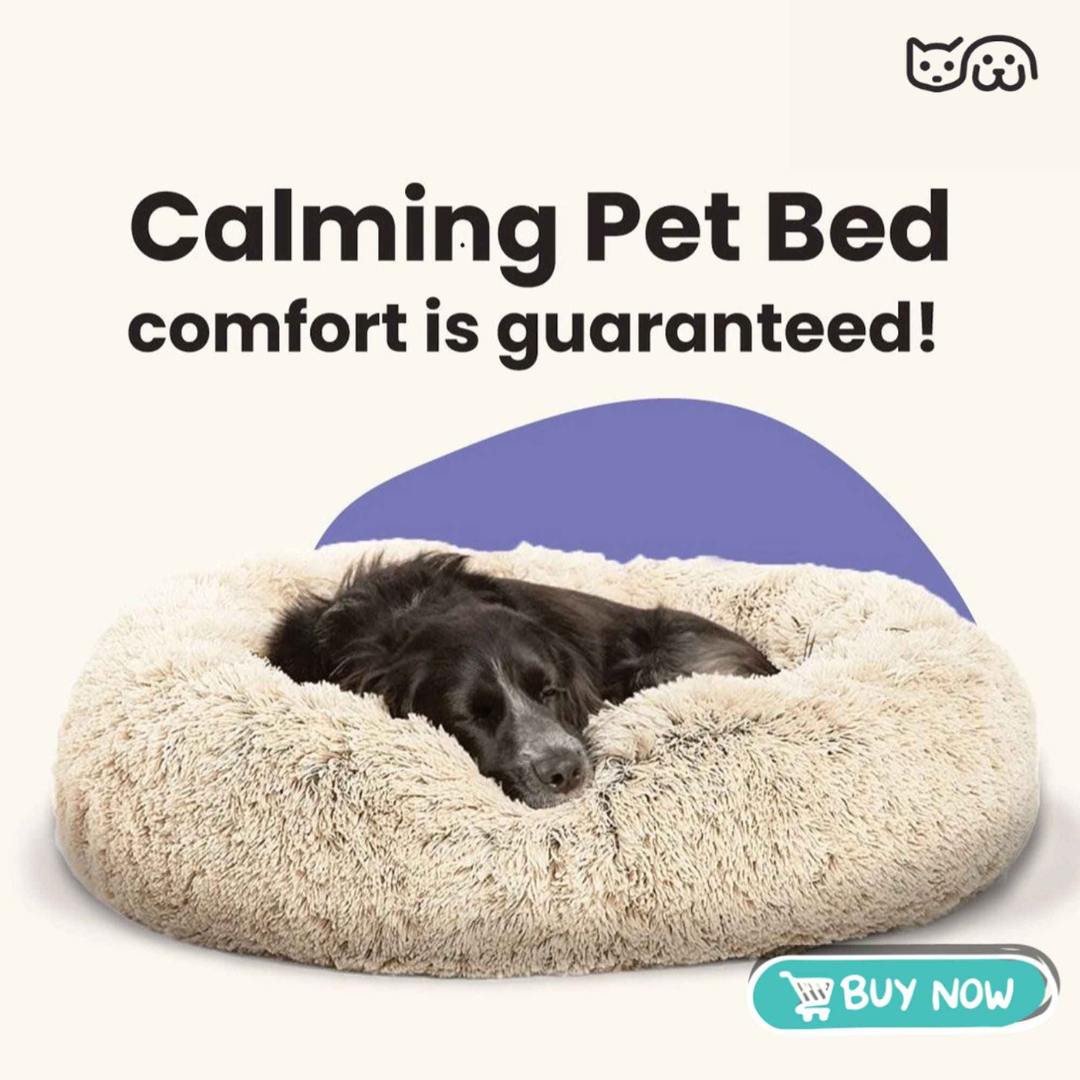 Cozy Comfort Bed – All-Season Comfort for Dogs & Cats