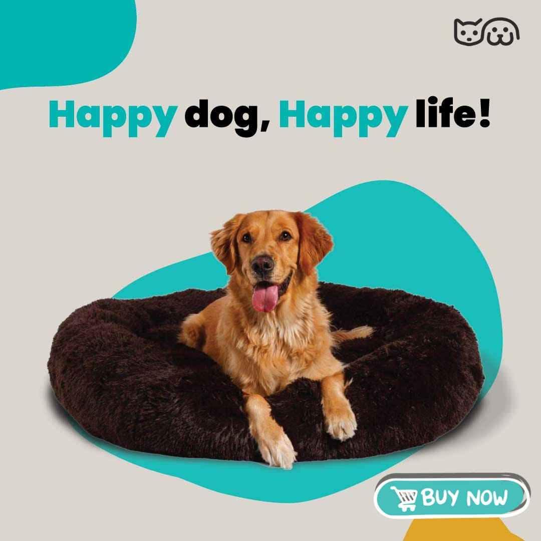 Cozy Comfort Bed – All-Season Comfort for Dogs & Cats