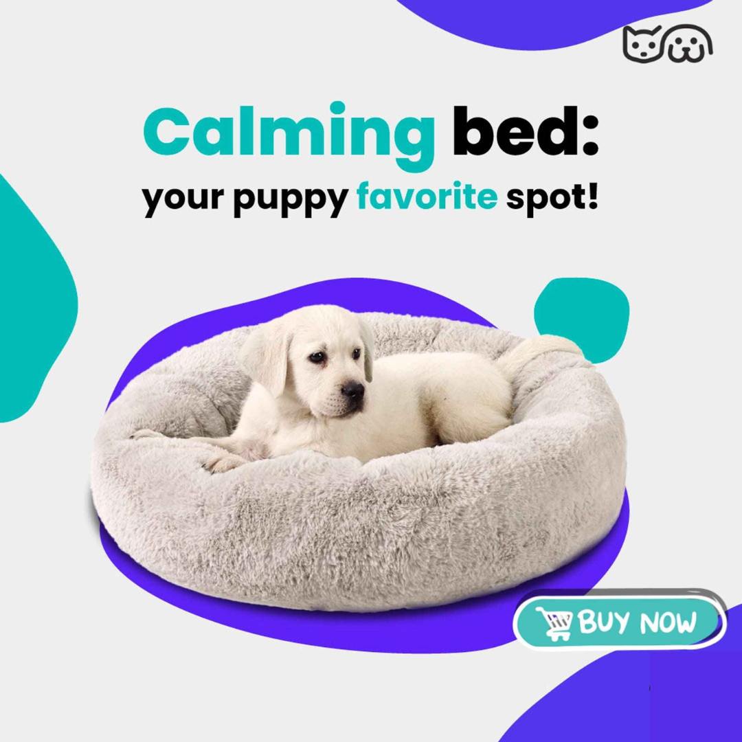 Cozy Comfort Bed – All-Season Comfort for Dogs & Cats