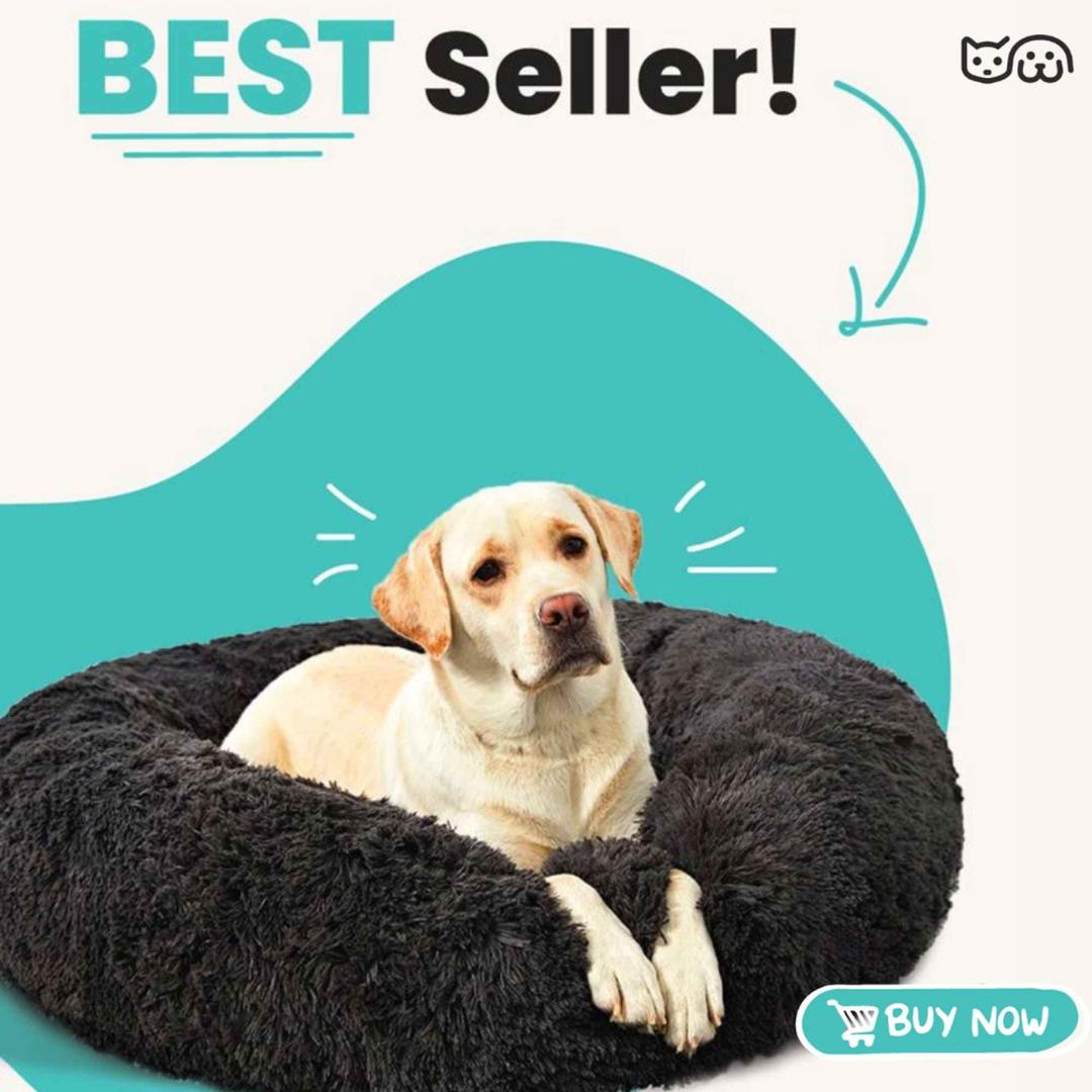 Cozy Comfort Bed – All-Season Comfort for Dogs & Cats