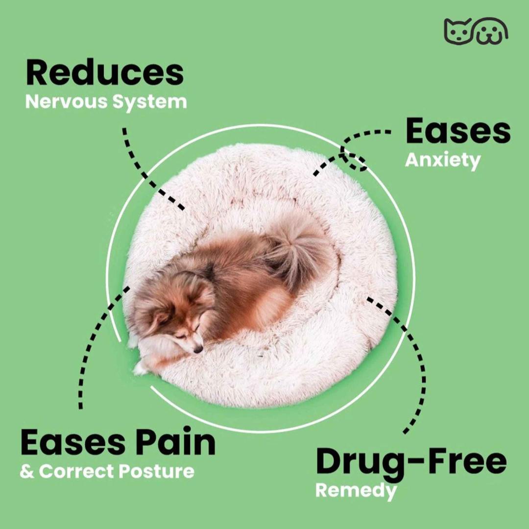 Cozy Comfort Bed – All-Season Comfort for Dogs & Cats