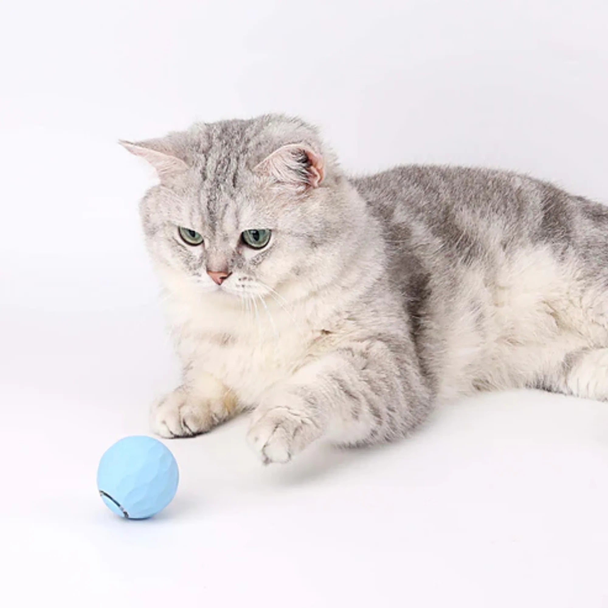 Power Ball 2.0 - Interactive Play Solution Cat & Dogs 🐾💖