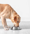 Stainless Steel Dog Bowl Medium (PACK OF 1) 350 ML