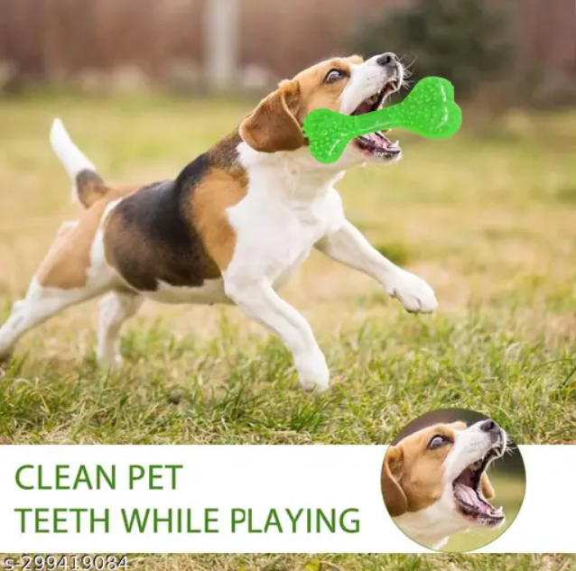 Dog Chew Toy + Toys for Puppies & Small Dogs Toys, Rope Ball Toy Cotton, Rubber Ball, Chew Toy, Rubber Toy, Training Aid For Dog -Pack of 6 (Multicolor)
