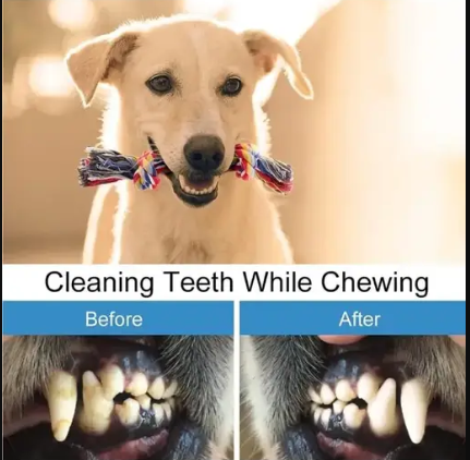 Unique Chew Toys for Dogs