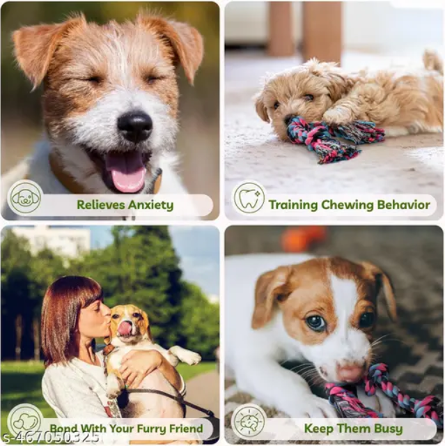 CHEW TOYS FOR DOGS