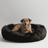 Black Furry Pet Bed – Super Soft & Comfy Summer For Cats & Dogs