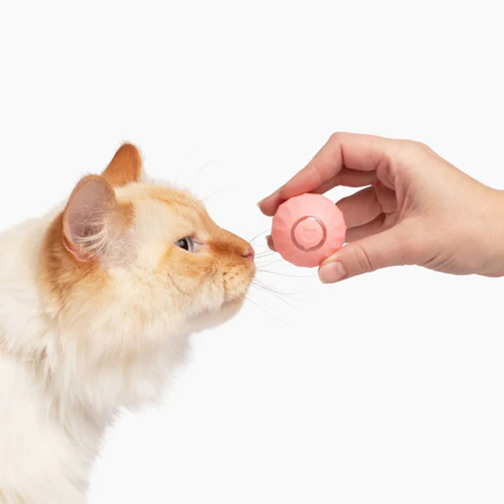 Power Ball 2.0 - Interactive Play Solution Cat & Dogs 🐾💖